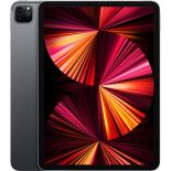  iPad Pro 11 M1 (2021)